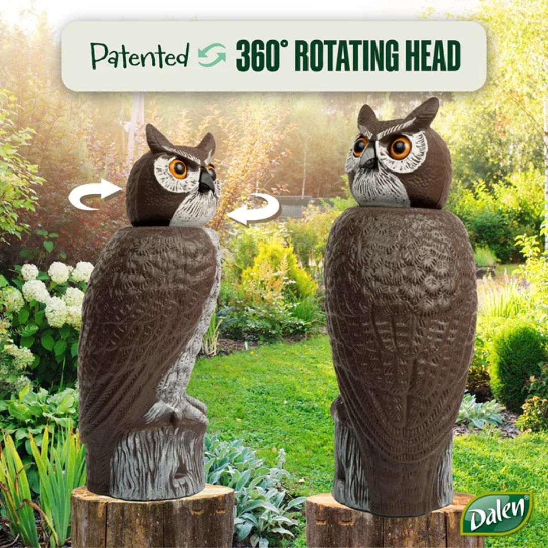 Rotating Head Owl Decoy – 18″